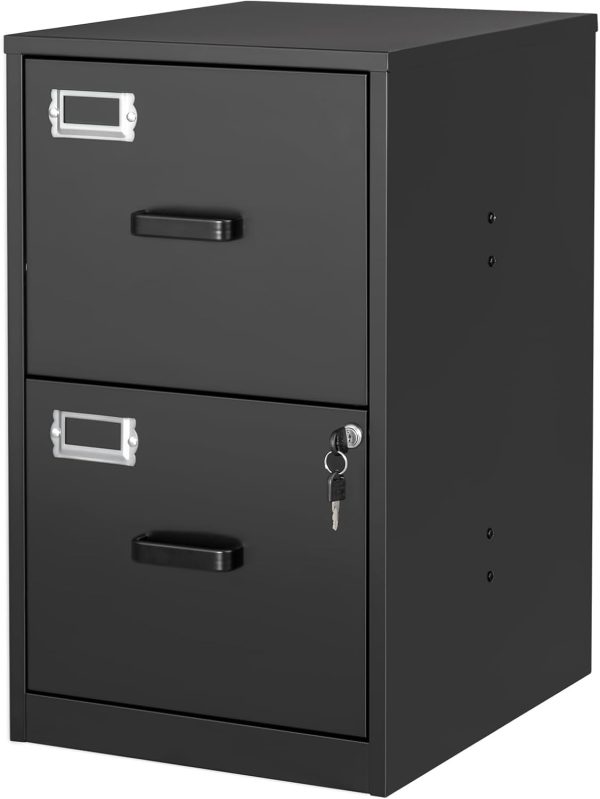2 Drawer File Cabinet with Lock Vertical Filing Storage Cabinet Office Home Steel Vertical File Cabinets for A4 Legal/Letter Size File Cabinet Locked,Assembly Required